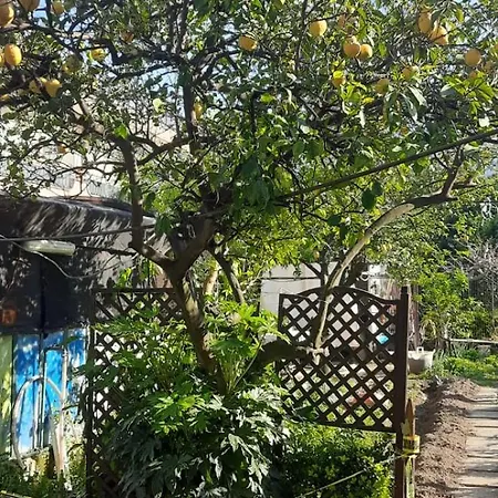 The Middle House Holiday home