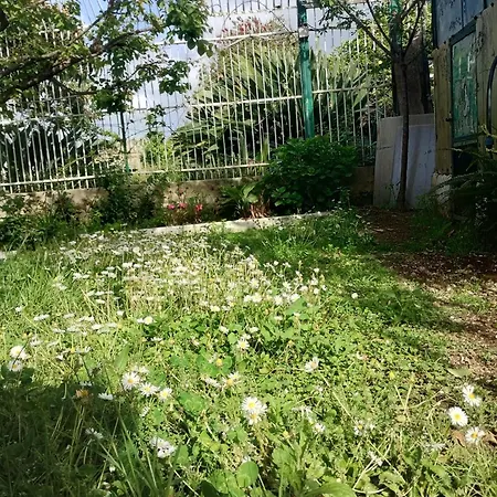 The Middle House *