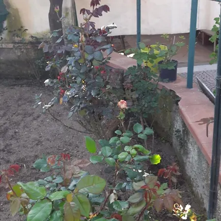 The Middle House Holiday home Castellammare di Stabia